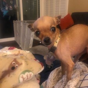 Meet your Posher, Claudia